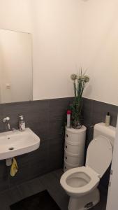 Koupelna v ubytování Luxury Apartment in very Good Location near Basel City
