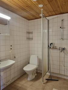a bathroom with a toilet and a sink and a shower at Kaamasen Kievari in Kaamanen +38 photos
