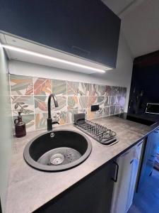 a kitchen counter with a sink in a kitchen at Studio AUREA in Annecy