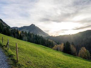 a grassy hill with a mountain in the background at Appartement Kriegerhorn in Lech am Arlberg