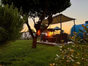 Κήπος έξω από το Residenza De Vita