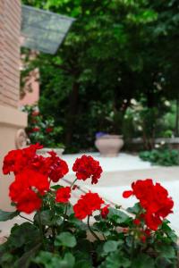 un grupo de flores rojas en un jardín en La casa dei Nonni, en Bolonia