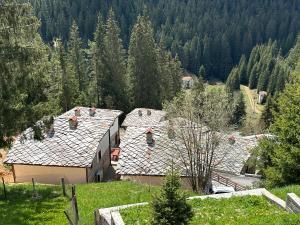 an aerial view of roofs of houses in a forest at Комплекс БОЖИДАРИЦА in Progled