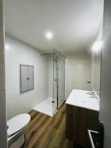 une salle de bain avec douche, lavabo et toilettes dans l'établissement Appartement dans le quartier recherché du mouré, à Collioure