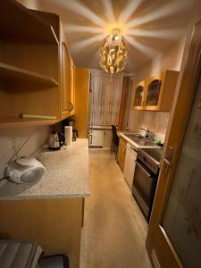 Η κουζίνα ή μικρή κουζίνα στο 2-Raum Apartment Treuen +3 φωτογραφίες