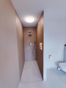 a bathroom with a shower and a toilet at Het Weiland Villa Jersey in Damme +17 photos