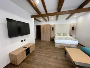 a bedroom with a bed and a tv and a couch at SEVIHOUSE Casa Vicente in Hospital de Órbigo