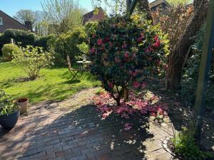 a garden with a bush of flowers on a brick path at Ferienhaus Frerichs 15209 in Leer