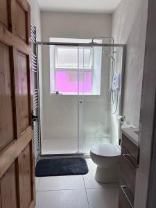 a bathroom with a shower and a toilet at Cheerful cottage 3-bedroom in Drehidnaraga Bridge +18 photos