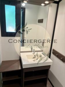 un bagno con lavandino e specchio di Cottage - Sollies Toucas a Solliès-Toucas Altre 7 foto