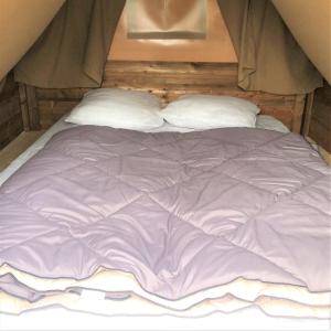 Postel nebo postele na pokoji v ubytování Camping Bois et Toilés