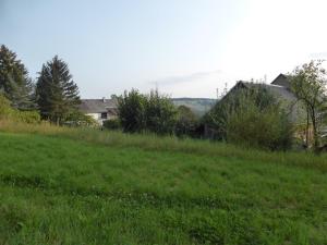 a field of green grass with houses in the background at Upcycling Ferienhaus in Roth