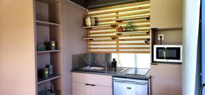 une cuisine avec un évier et un micro-ondes dans l'établissement La Luna - Tiny House Spa - Romantique & Nature, à Saint-Yan 17 autres photos