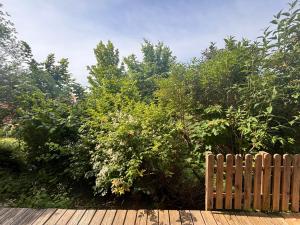 Zahrada ubytování Cozy Apartment with Garden in Graz Free Parking