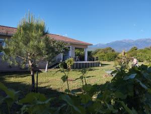 a house with a yard with a tree at VILLA climatisée tout confort Proche mer et montagne 3 chbres in Campodiloro