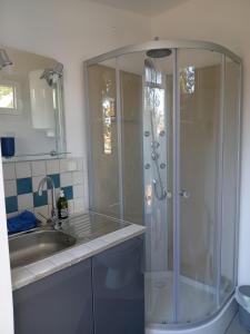 a bathroom with a shower and a sink at Yourte à la ferme des Bréguières in Esparron