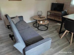 un salon avec un canapé et une télévision dans l'établissement Chalet 3 étoiles - Piscine - eebicc, à Massillargues-Attuech