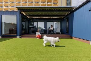Domácí mazlíčci ubytovaní s hosty v ubytování KAMENOI HOTEL Kujukuri