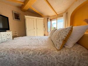 a bedroom with a bed with pillows and a tv at Maison in La Celle-sous-Gouzon