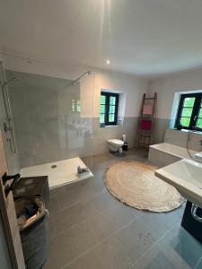 a bathroom with a shower and a toilet and a sink at Buchmühle in Niederdorla