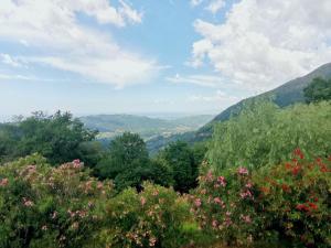 a view of a valley with trees and flowers at La Casa dell'Affinatore in Gombitelli +25 photos