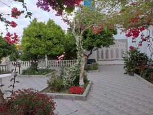 Zahrada ubytování Hotel Apollon
