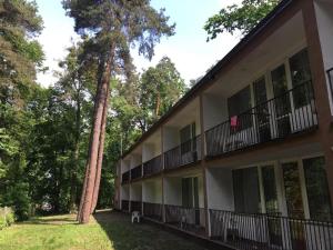 an apartment building with a tree in the yard at Leśna Przystań in Iława
