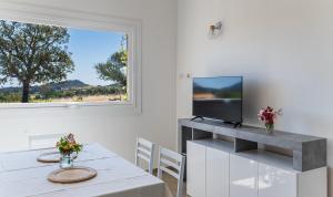 Μια τηλεόραση ή/και κέντρο ψυχαγωγίας στο Is Laccus 6