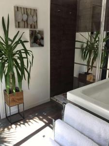 Fotografie z fotogalerie ubytování La Palmeraie v destinaci Vannes