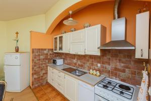 Kuchyň nebo kuchyňský kout v ubytování Apartman Lucija