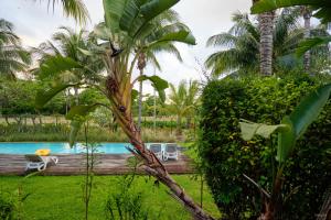 a resort with a pool and palm trees at Le Gouzou in Tamarin