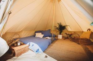 a tent with a blue bed in a room at Bellamarsh Farm B&B in Newton Abbot