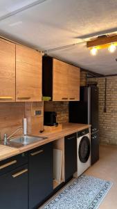 a kitchen with a sink and a washer and dryer at Villa Mediterrane - Apartment Bologne in Frankenthal