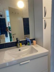 a bathroom with a white sink and a mirror at Little Beachouse Prvic Island in Prvić Šepurine