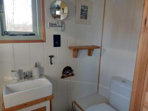 a small bathroom with a sink and a toilet at Steam and Stars Luxury Glamping in Williton