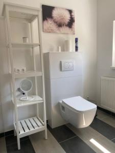 a bathroom with a white toilet and a shelf at Green Hill in Jesenice na Dolenjskem +23 photos