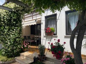 a house with potted plants on the side of it at Hiša Ana in Ankaran