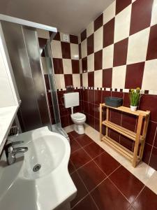 Koupelna v ubytování Apartmani "Bodulo"
