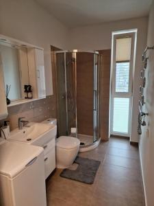 Un baño con ducha, inodoro y lavabo. en Kolibris, en Nida