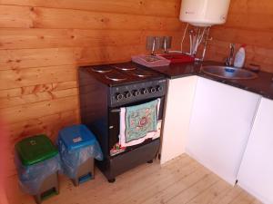 Kuchyň nebo kuchyňský kout v ubytování Korjuse Moori metsaonn- forest hut