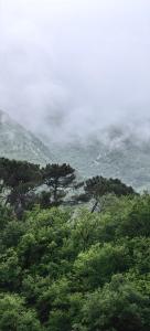 Paesaggio naturale nelle vicinanze dell'appartamento