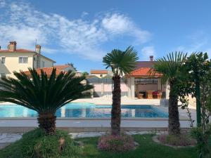 two palm trees in front of a swimming pool at apartman Lavanda in Valbandon