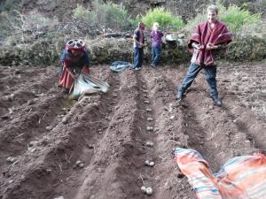 un groupe de personnes travaillant dans un champ de terre dans l'établissement Casa de Gumercindo, à Ccorcor 1 autre photo