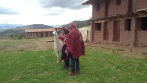 two women standing in a field with a goat at Casa de Gumercindo in Ccorcor