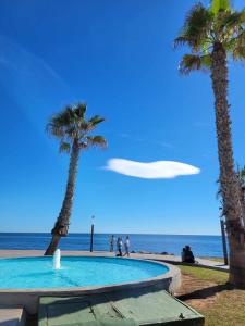 a swimming pool next to the beach with palm trees at La Mata Apartment, Spain in La Mata