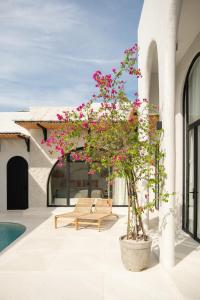 Πισίνα στο ή κοντά στο Villa Milos at Isola villas +27 φωτογραφίες