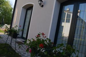 Zahrada ubytování Casa Vacanza e per lavoro Tessyhouse