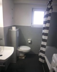 a bathroom with a toilet and a sink and a window at Monteurwohnung Göllheim in Göllheim