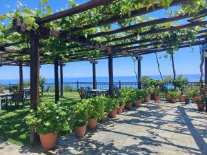 a row of potted plants under a pergola at Olga Studios in Tsagarada
