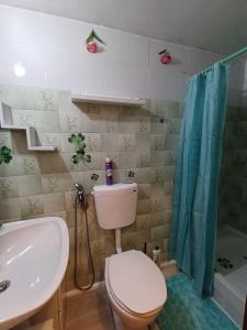 a bathroom with a toilet and a sink and a shower at Casa da Bia in Nisa